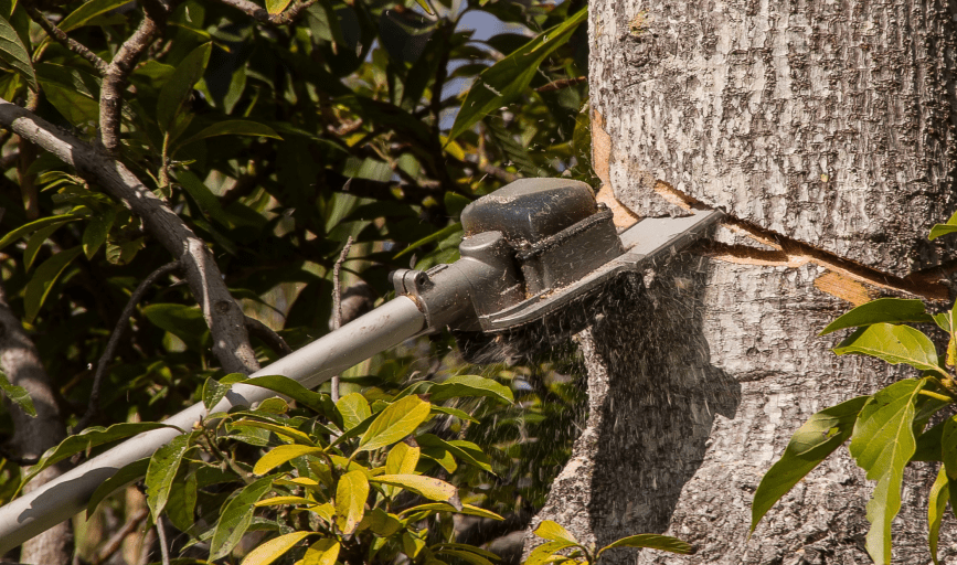 G&L Tree Service